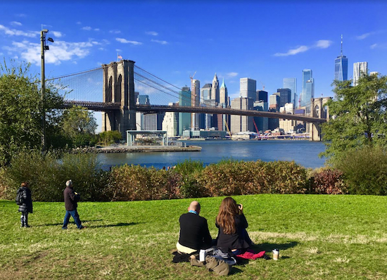 Image result for brooklyn bridge park