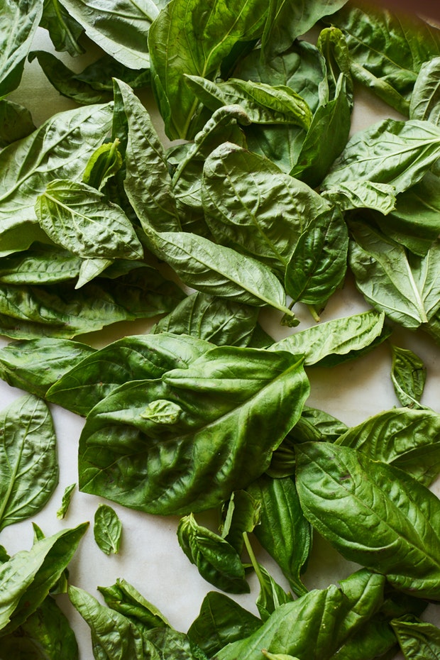 How to Make Pesto like an Italian Grandmother