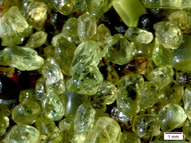 Olivine grains from Hawaiin lava (Wilson44691/Wikimedia/CC0)