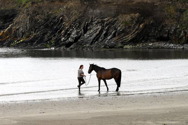 Loughshinney, Co. Dublin (3).JPG