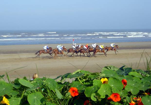 Laytown Races.jpg