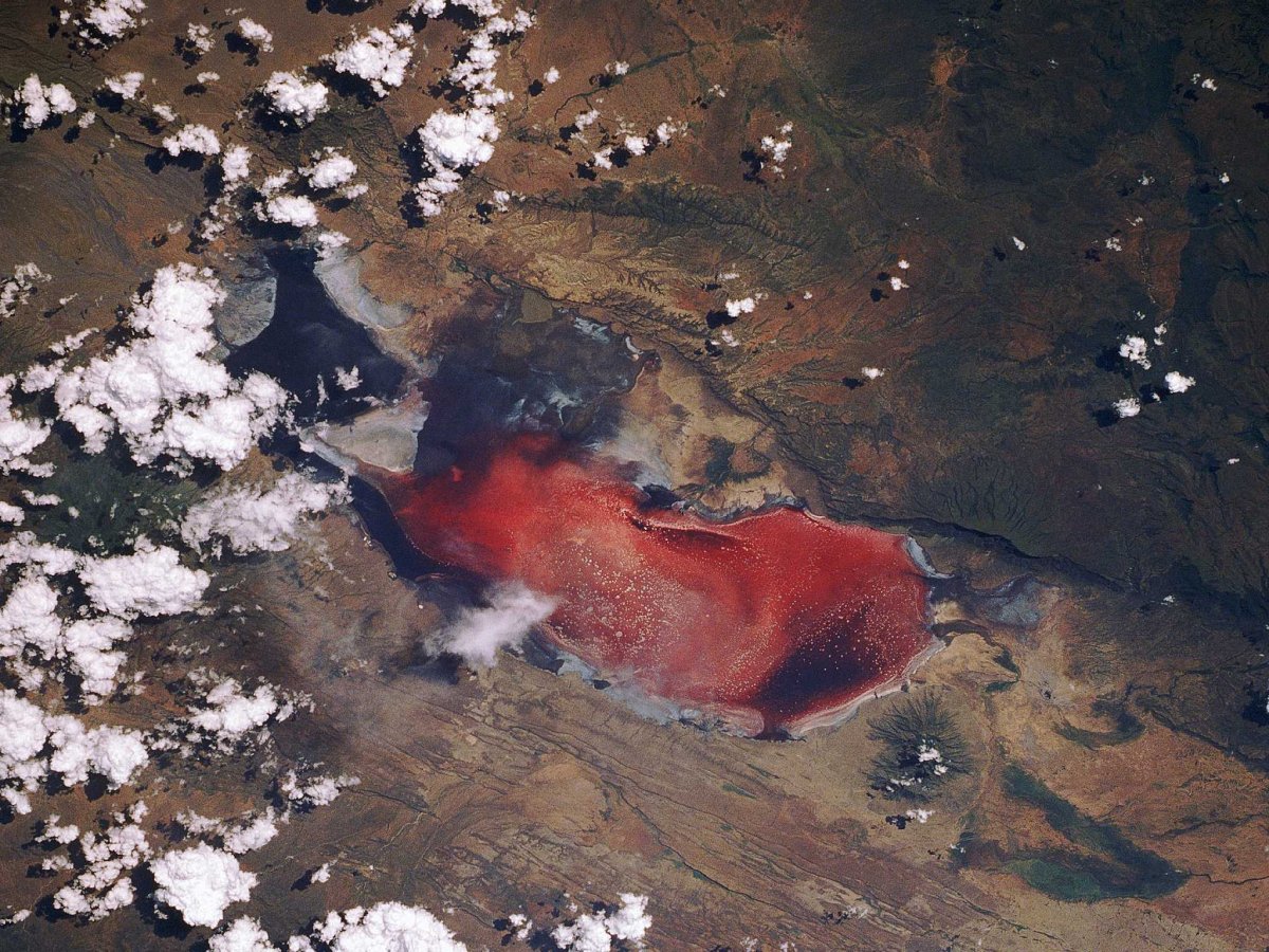 tanzanias-lake-natron-is-known-for-its-deep-red-hue-its-rich-color-comes-from-algae-and-salt-loving-organisms-and-it-fascinatingly-draws-millions-of-flamingo-visitors-from-june-to-november