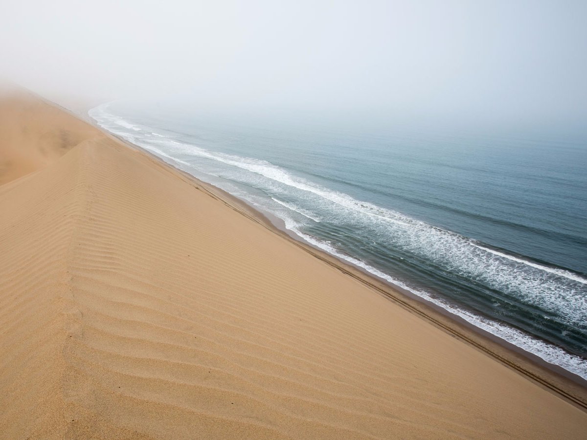 the-namib-sand-sea-located-in-namibias-namid-naukluft-park-is-the-only-coastal-desert-in-the-world-dune-fields-often-come-into-contact-with-fog-creating-a-unique-environment-for-an-array-of-wildlife