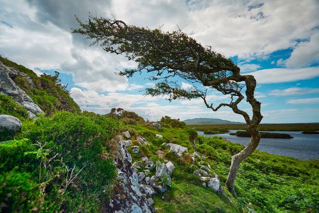 Connemara, Wild Atlantic Way. Photo: Big Smoke/Fáilte Ireland