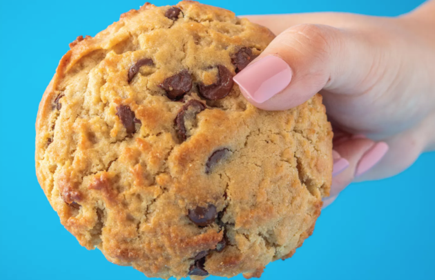 a hand holds a chocolate chip cookie set against a blue background