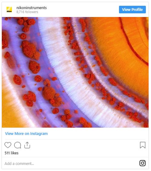 science insta image 3