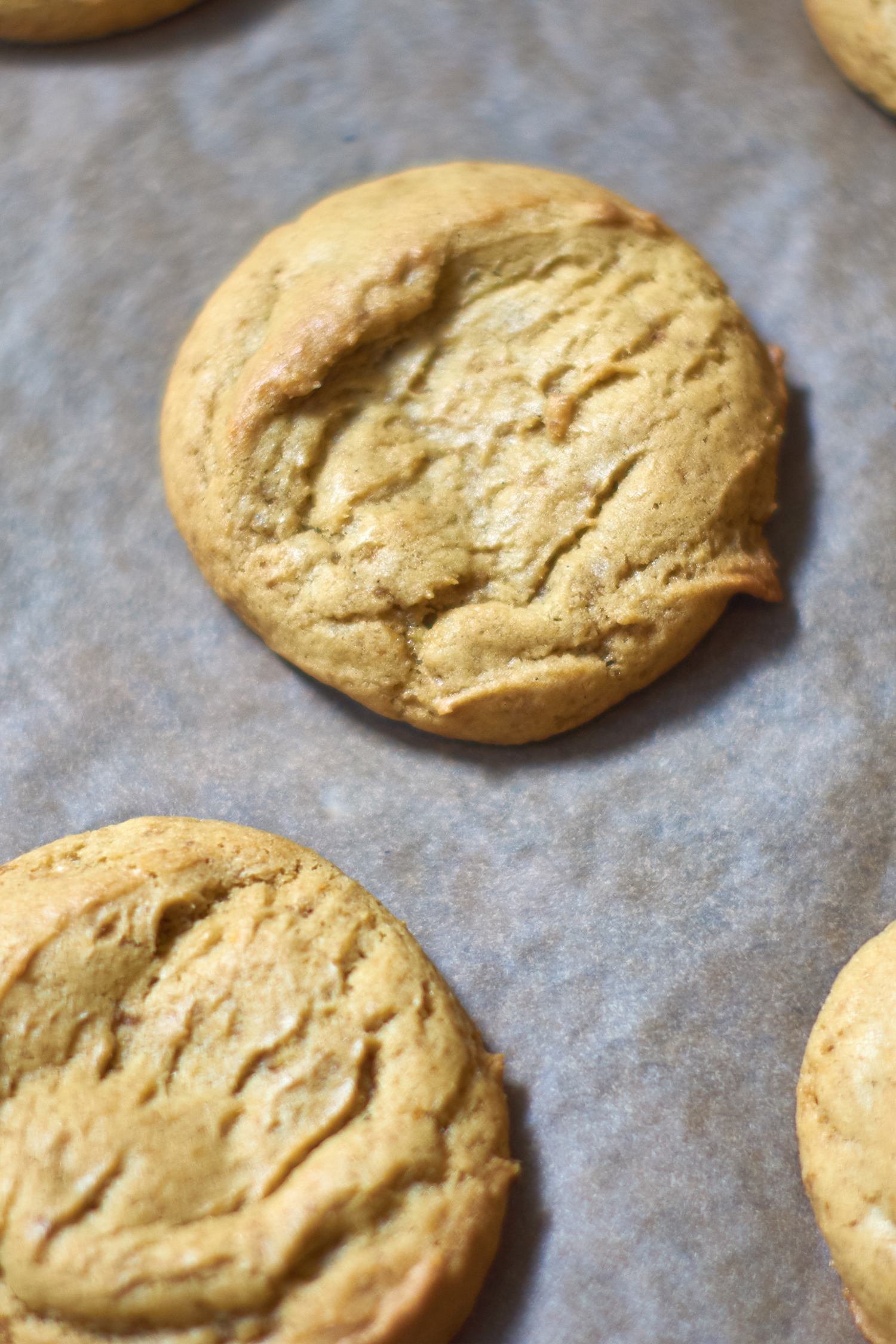 Blue Bottle Saffron Vanilla Snickerdoodle Cookies Recipe