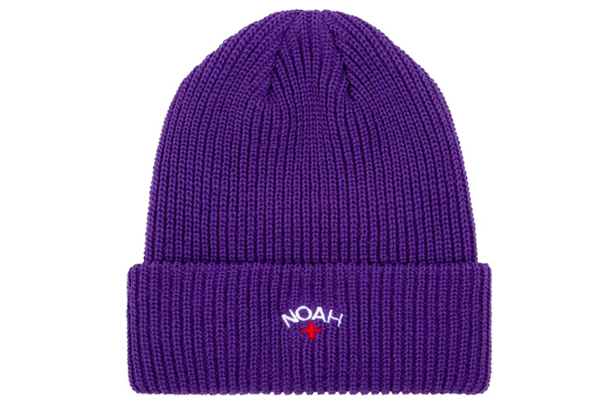 Noah core logo beanie