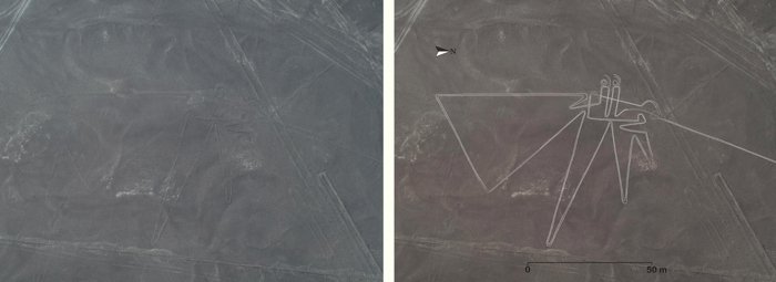 010 nazca geoglyphs 4