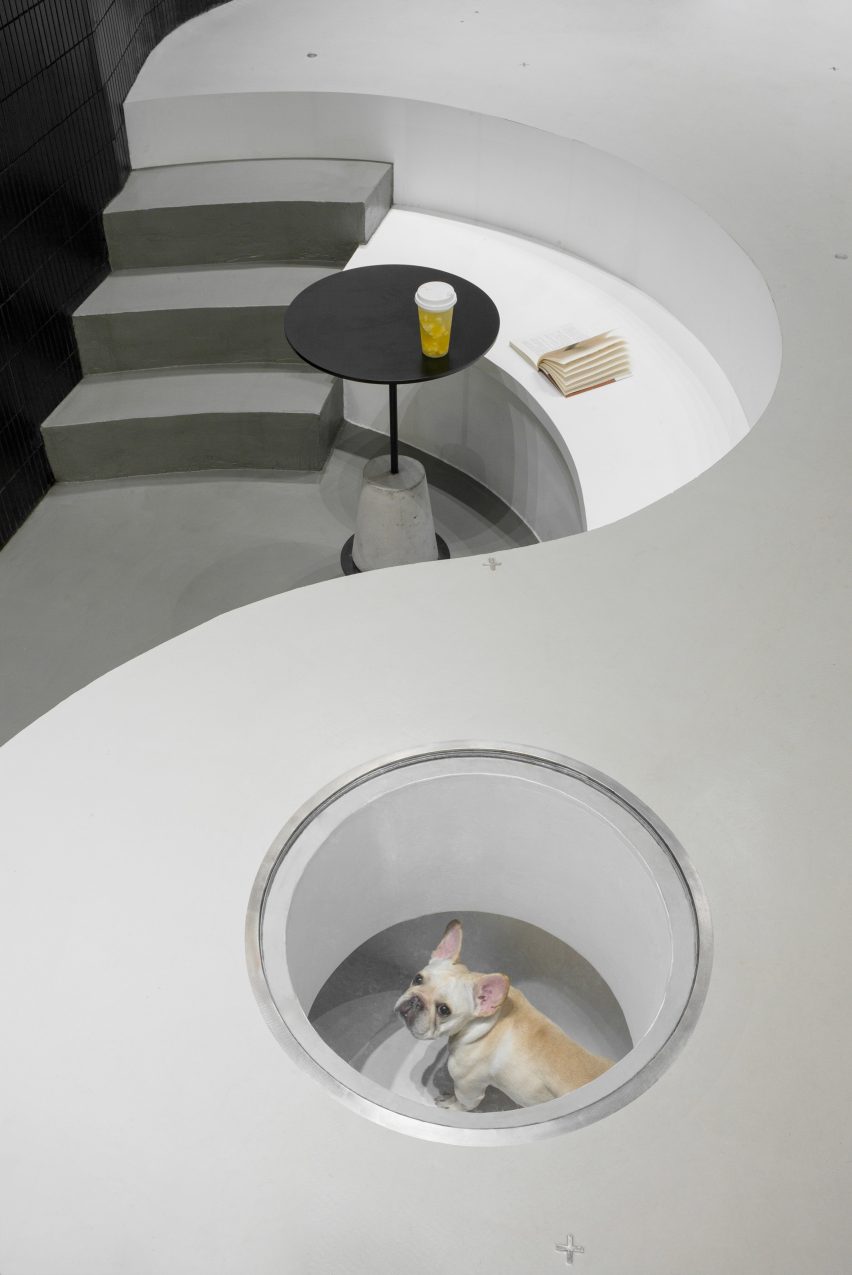 Nova Pets grooming salon by Say Architects