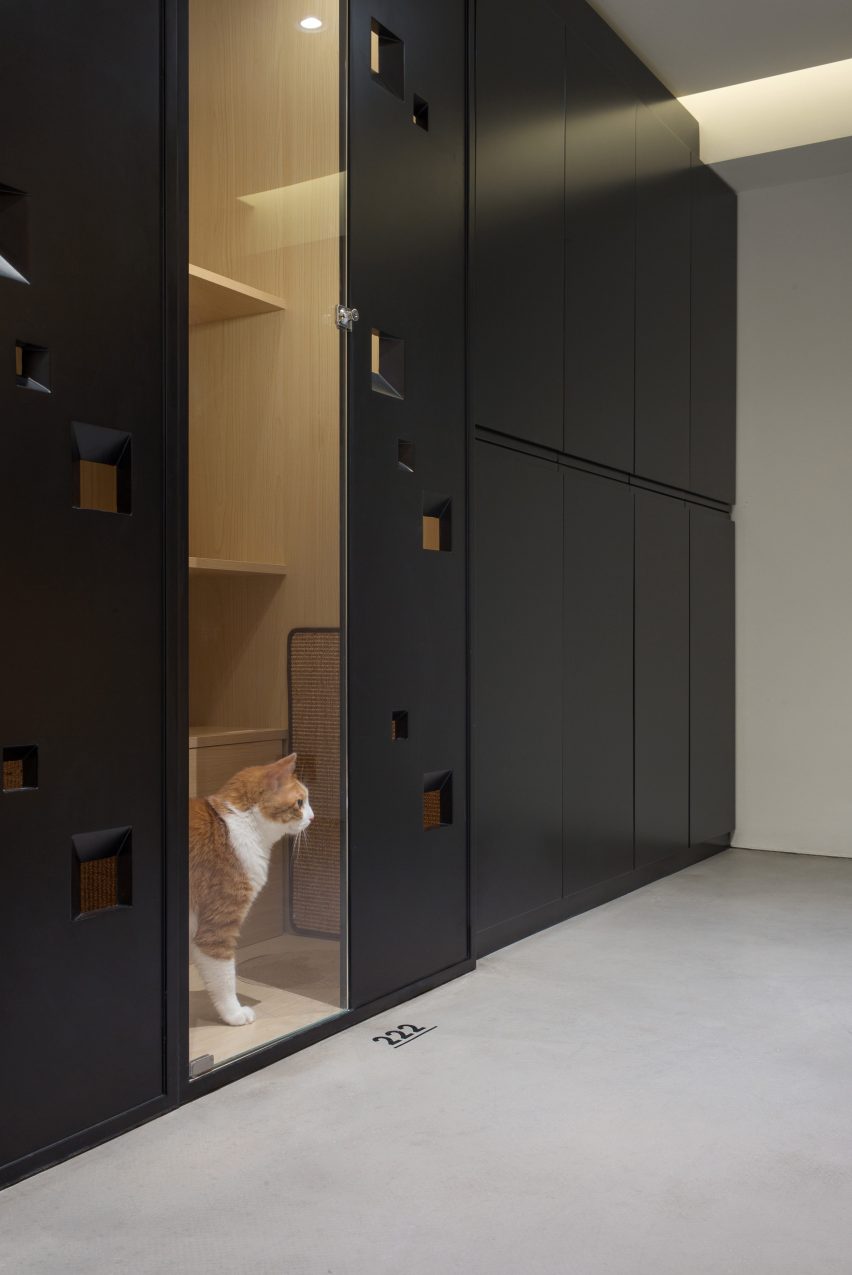 Nova Pets grooming salon by Say Architects