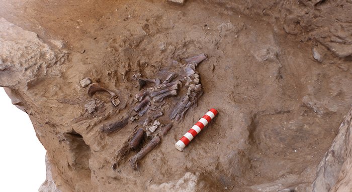 neanderthal bones shanidar cave in situ