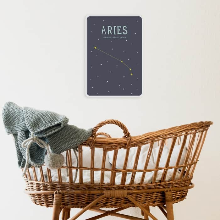 baby zodiac card over basket