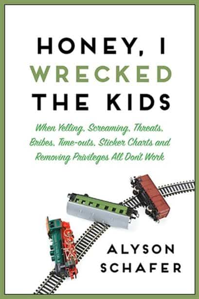 Cover for book Honey, I Wrecked The Kids