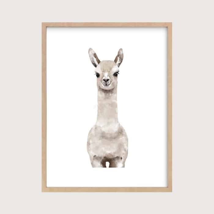 llama print for nursery wall