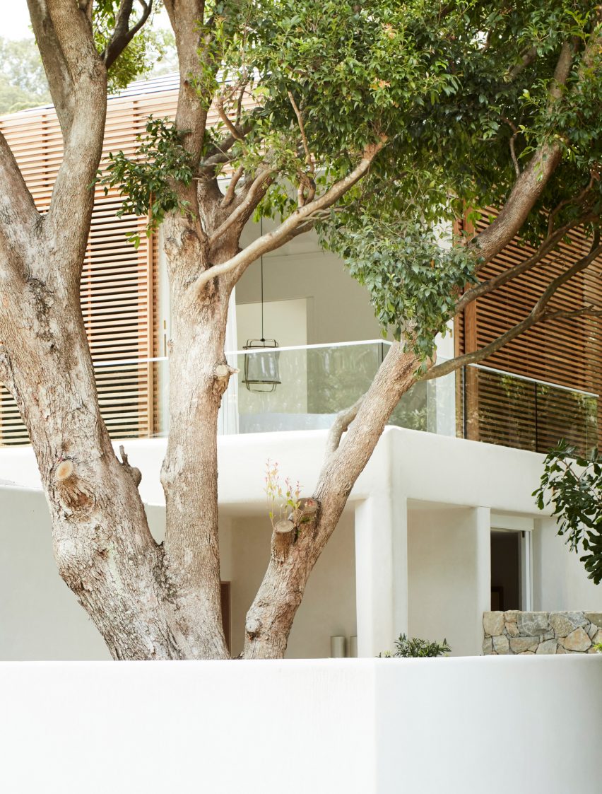 Woorak House in Palm Beach, Sydney designed by CM Studio