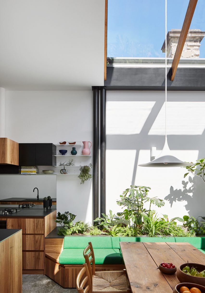 Plant-filled conservatory in dining space of Newry house by Austin Maynard Architects