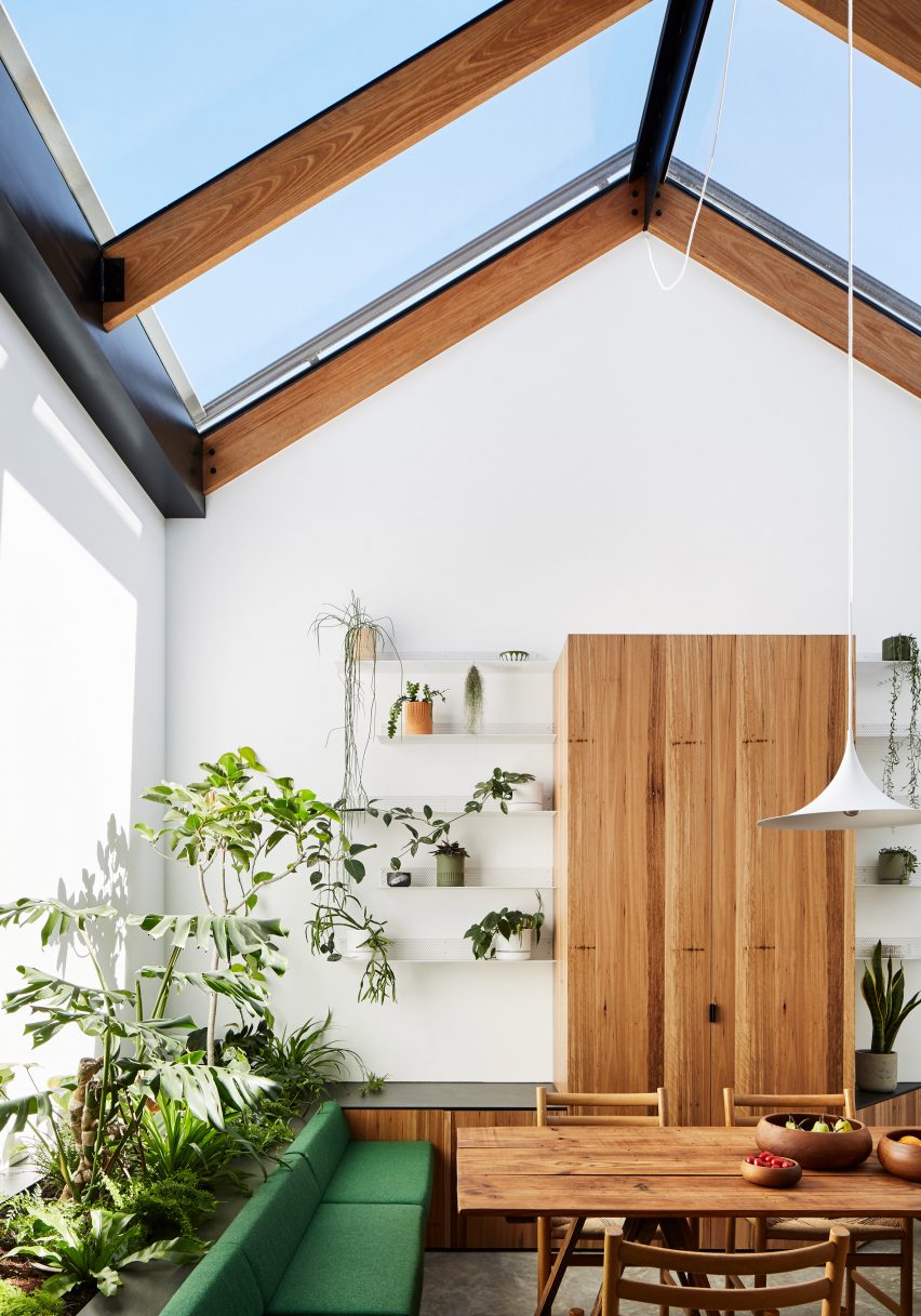 Plant-filled conservatory in dining space of Newry house by Austin Maynard Architects