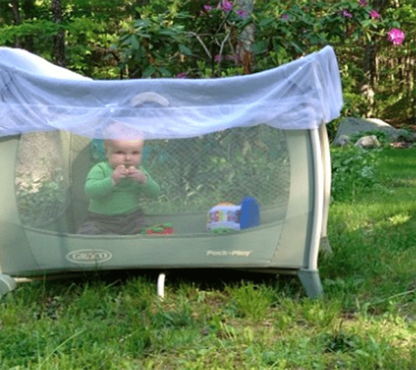 baby in a pack n play with bug net