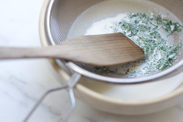 Mint Frozen Yogurt Recipe